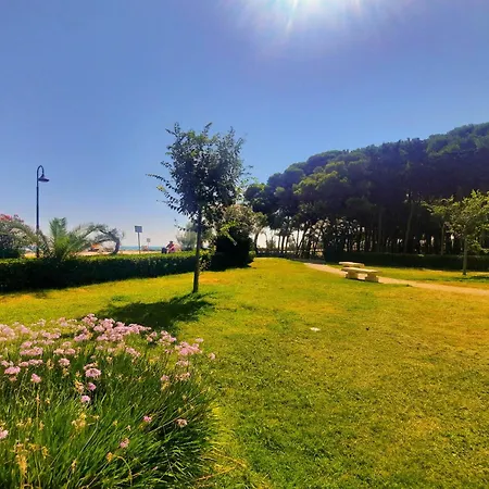 Appartamento Pinolo Bilo Int 12 - Myho Casa Alba Adriatica