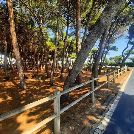 Pinolo Bilo Int 12 - Myho Casa * Alba Adriatica