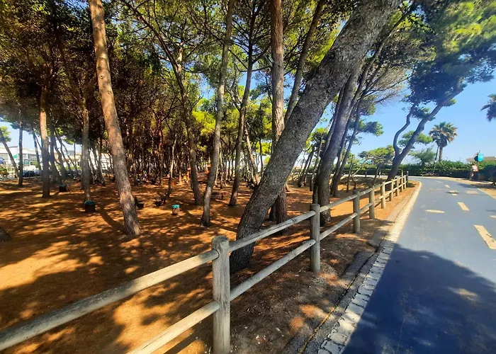 Pinolo Bilo Int 12 - Myho Casa * Alba Adriatica